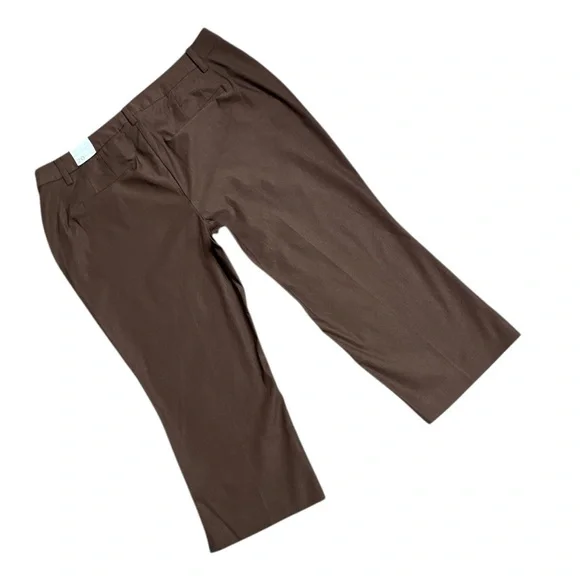 LANE BRYANT "THE 4-SEASON SLIM CAPRI", MID-RISE, CHOCOLATE BROWN, SIZE 20 NWT - Picture 3 of 9